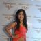 Shibani Kashyap was at the Launch of Turquoise & Gold store