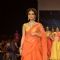 Dia Mirza dazzels the ramp at the IIJW 2014 - Day 1