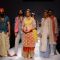 Chhaya Mehrotra showcases her collection at the Wills Lifestyle India Fashion Week Day 3