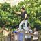 Shahrukh Khan climbs over the railing to greet his fans