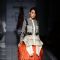 Alesia Raut walks for Amit Agarwal at Amazon India Fashion Week 2015 Day 2