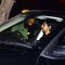 Ishant Sharma was snapped at Suresh Raina and Priyanka Chaudhary's Wedding Ceremony