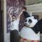 Neha Dhupia in action with Kung Fu Panda's PO