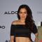 The sizzling Waluscha De Sousa at Launch of ALDO's new Collection