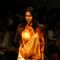 Designer Parshant Verma''s creation at the Wills Lifestyle India Fashion week in New Delhi on Tuesday 28 Oct 2009