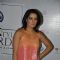 Celina Jaitley at Hot : DNA After Hours Style Awards
