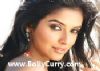 Asin wants to do only commercial movies