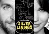'Silver Linings Playbook' - cloudy yet shines