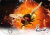 'Eega' takes foreign film fests by storm