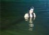 Sunny Leone shoots in a snake-filled lake for Ragini MMS-2