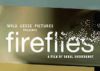Movie Review :  Fireflies