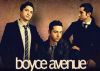 Boyce Avenue wraps up Indian musical affair in Delhi