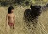 'The Jungle Book' stays unaffected by SRK's 'Fan' at Indian box office