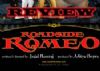 Review: Roadside Romeo, world class animation film.