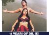 This is how Shah Rukh Khan celebrates 18 years of DIL SE!