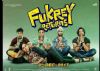 Fukrey Commercials are just a glimpse of the madness in the movie