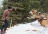 Death-Defying Action: Salman battles a pack of blood-thirsty wolves
