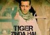 Salman Khan battles wolves in 'Tiger Zinda Hai'