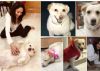 Madhuri Dixit's Dog losses her Battle to Cancer, Actress is BEREAVED