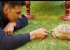 Akshay Kumar has made the life of this tiny Tortoise, absolutely LIT