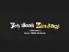 Yeh Saali Zindagi - Theatrical Trailer