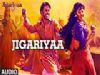 Exclusive: Jigariyaa Full Audio Song | Harshvardhan Deo | Cherry Mardia | T-SERIES