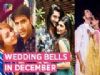 Why December is OFFICIALLY the wedding season?