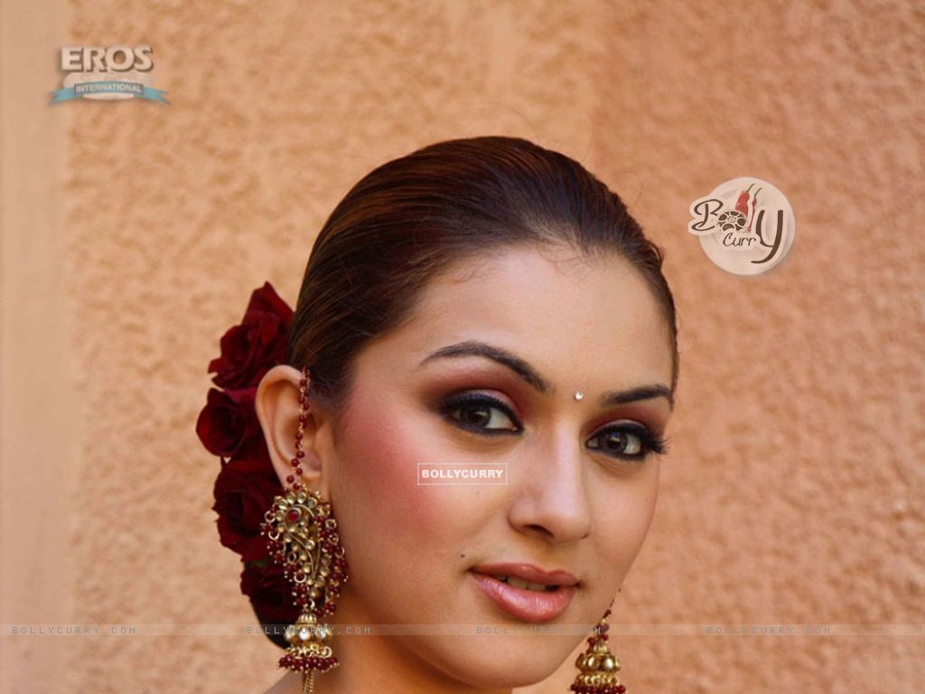 Wallpaper - Hansika Motwani looking gorgeous in red sari (12121)  size:1024x768