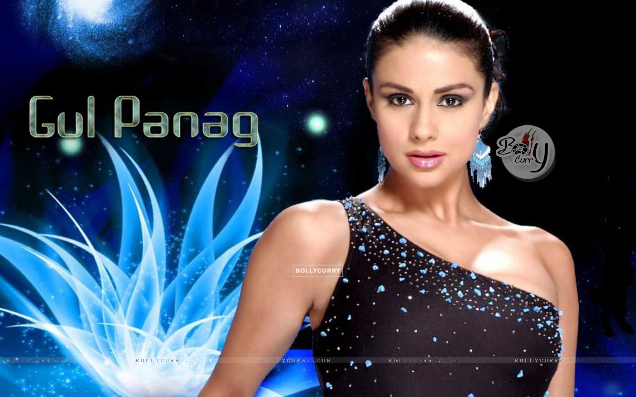 Gul Panag - Images Gallery