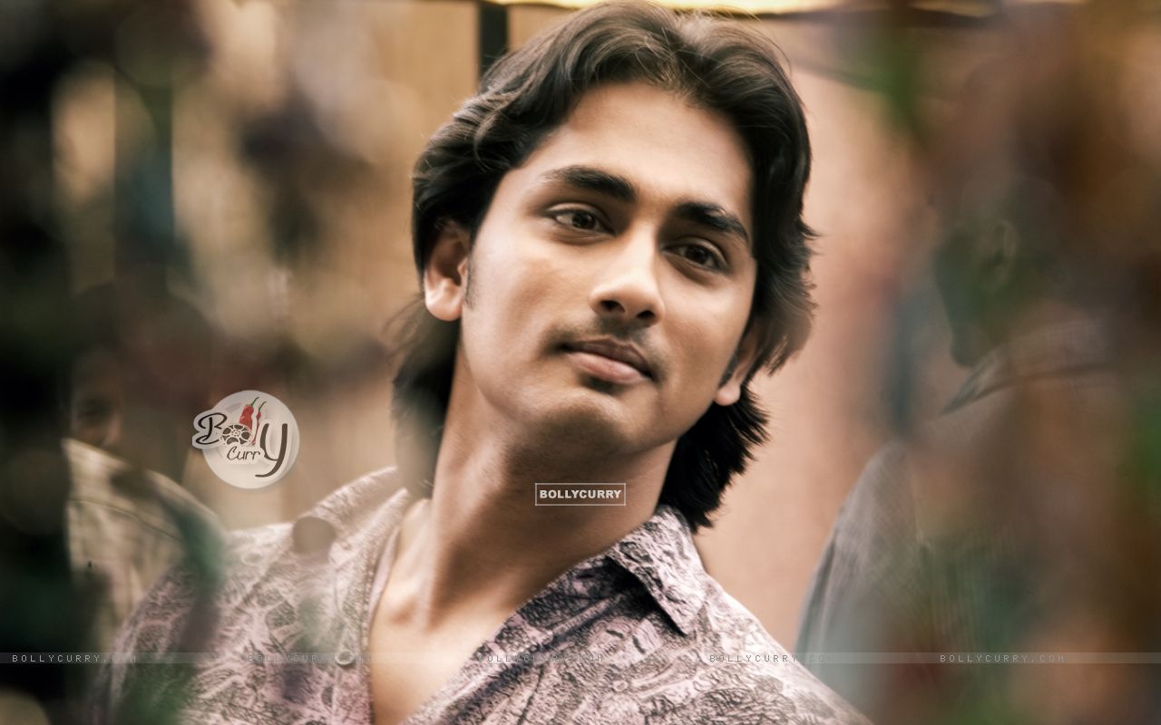 Wallpaper - Still image of Siddharth Narayan (41949) size:1280x800