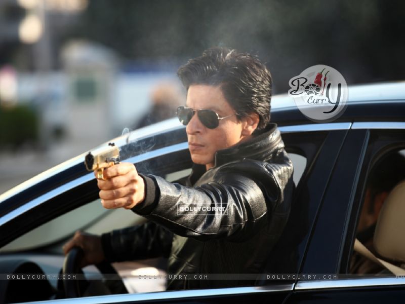 Wallpaper - Shahrukh Khan in the movie Dilwale (383975) size:800x600
